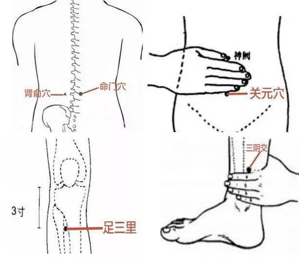 春已到,接好"孕"