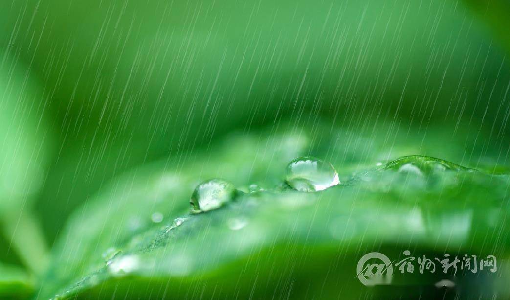 好雨知时节,当春乃发生.随风潜入夜,润物细无声.