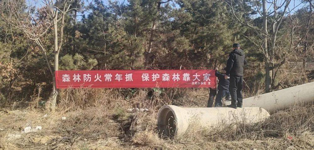 森林防火西苑街道全力做好春季森林防火工作