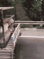 搞笑GIF:我的快递终于到了!