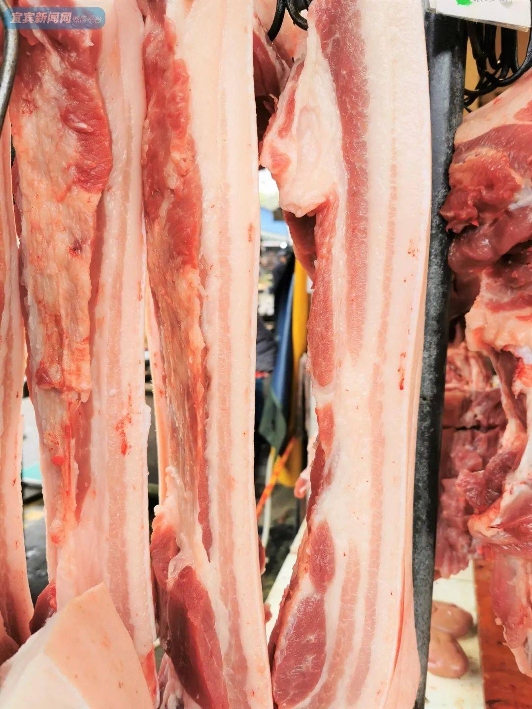 猪肉降到20元以下了?实拍宜宾多个超市和菜市最新价格
