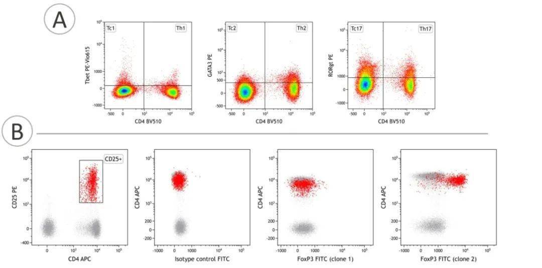淋巴细胞群体中,tbet,gata3和rorγt转录因子的表达分别区分出th1/tc1
