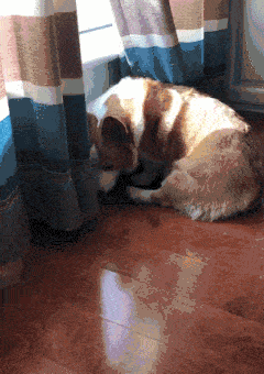 240_340 竖版 竖屏