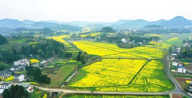 3月17日,在四川省南充市西充县常林镇锦屏山村高标准农田建设现场,一