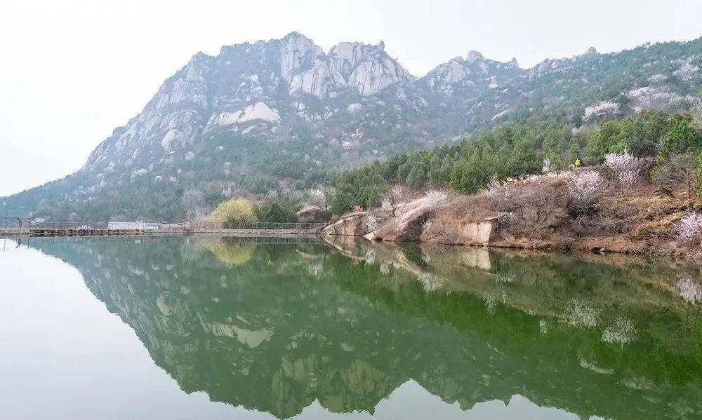 北京后花园十万山桃花已怒放,太美了!_风景区