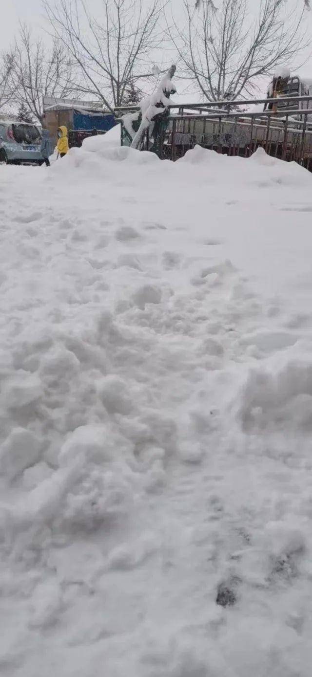 雪深8厘米!内蒙古一地迎近十年最大暴雪