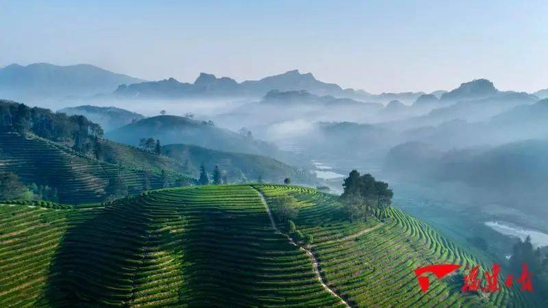 让绿水青山永远成为福建的优势和骄傲
