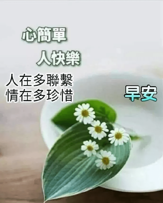 能静静地守望你的幸福也是一种美好早安