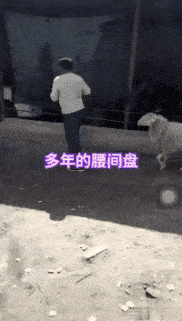 搞笑gif动图:艺术家在流浪,大师在泼墨