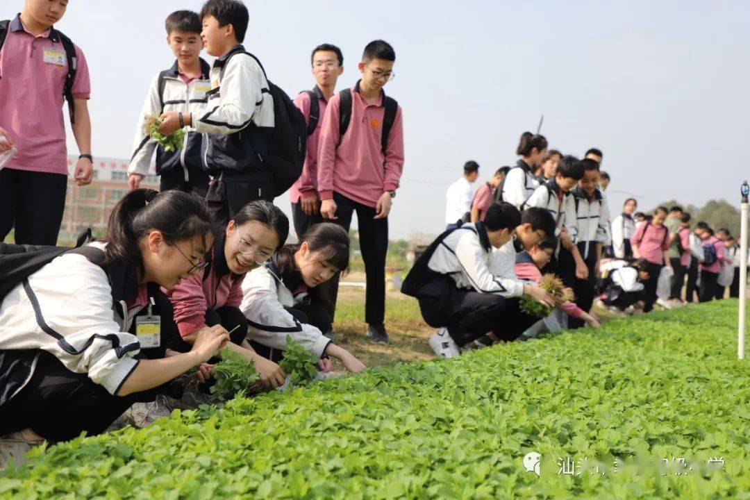 【聿怀初中】岗背村研学:公益助农齐行动,乡村振兴共探索