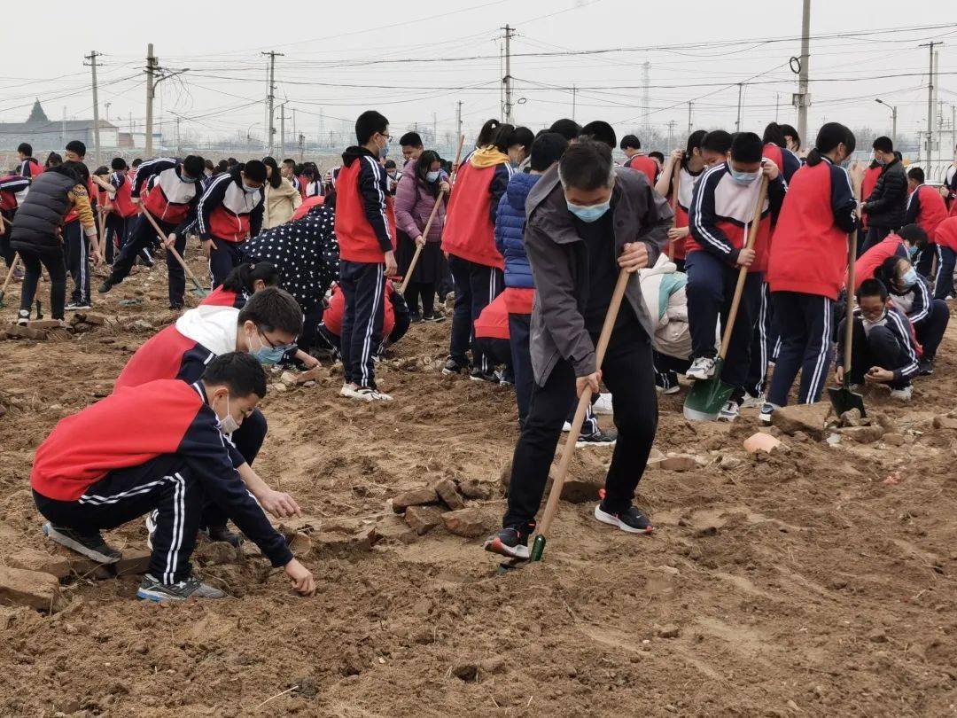 把劳动的种子种在学生心中杨镇二中农业基地开园啦丨校园风采