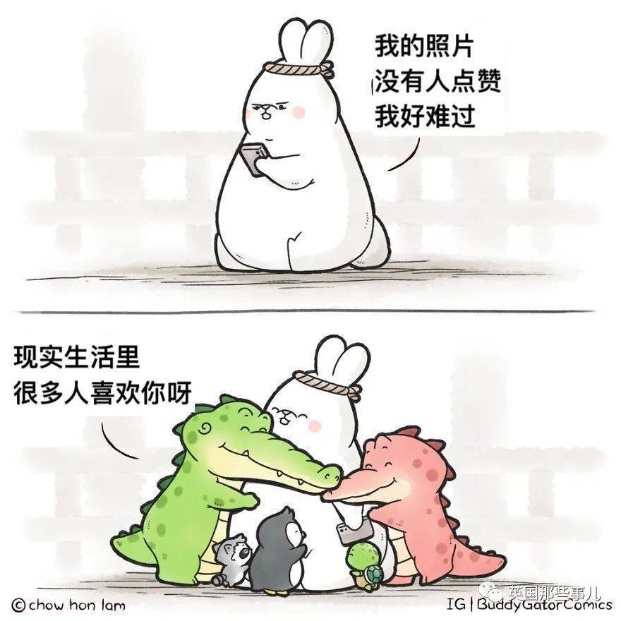 鳄鱼也能这么可爱小鳄鱼gator和朋友们的生活好治愈