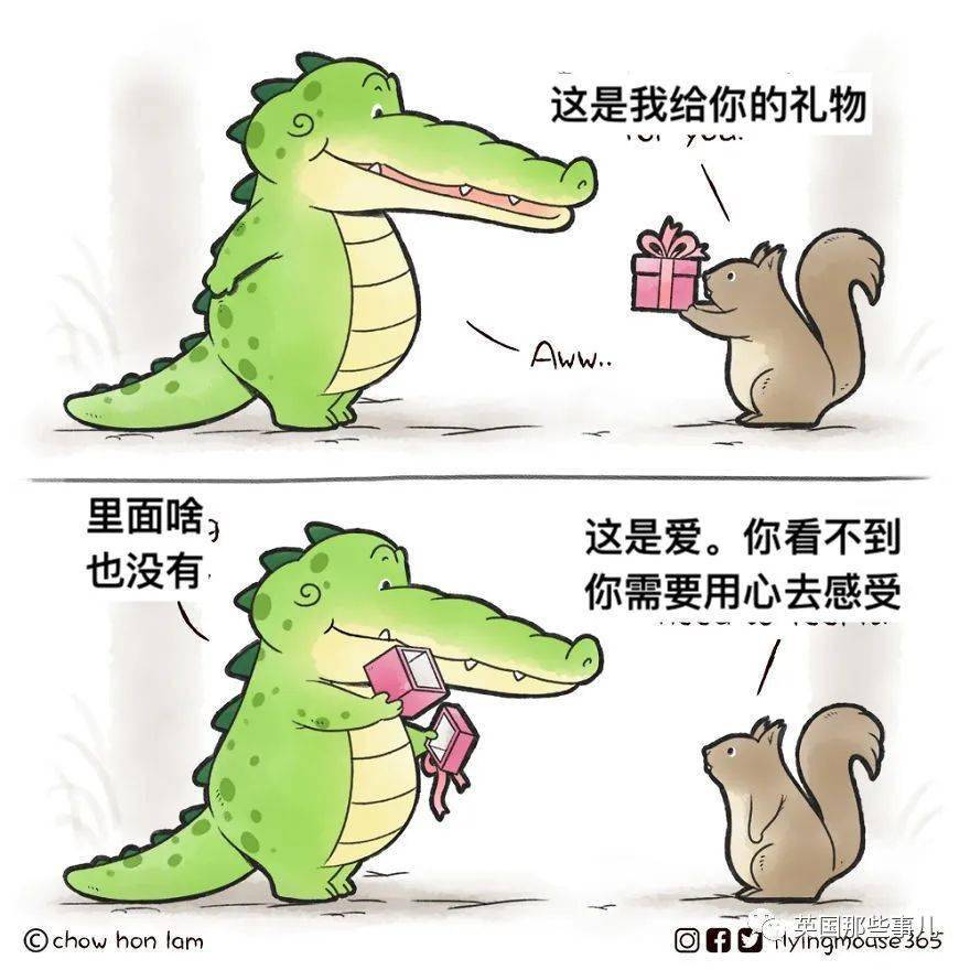 鳄鱼也能这么可爱小鳄鱼gator和朋友们的生活好治愈