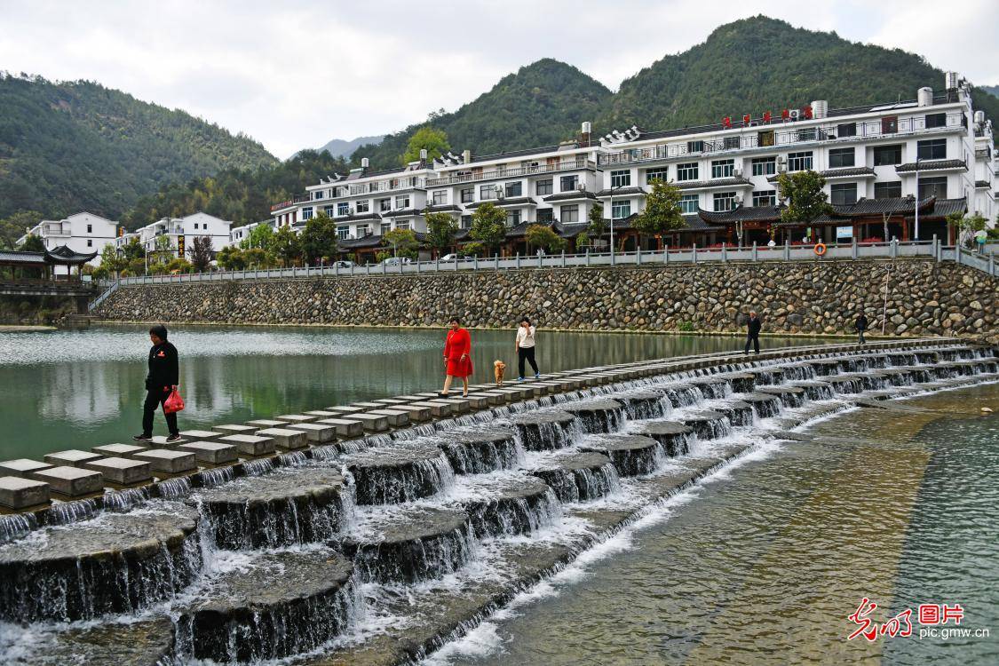 浙江仙居:绿水青山 生态乡村_溪港乡