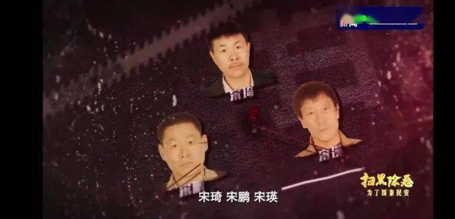 盘踞东港达30年之久,在宋氏兄弟涉黑组织实施的390多起违法犯罪事实中