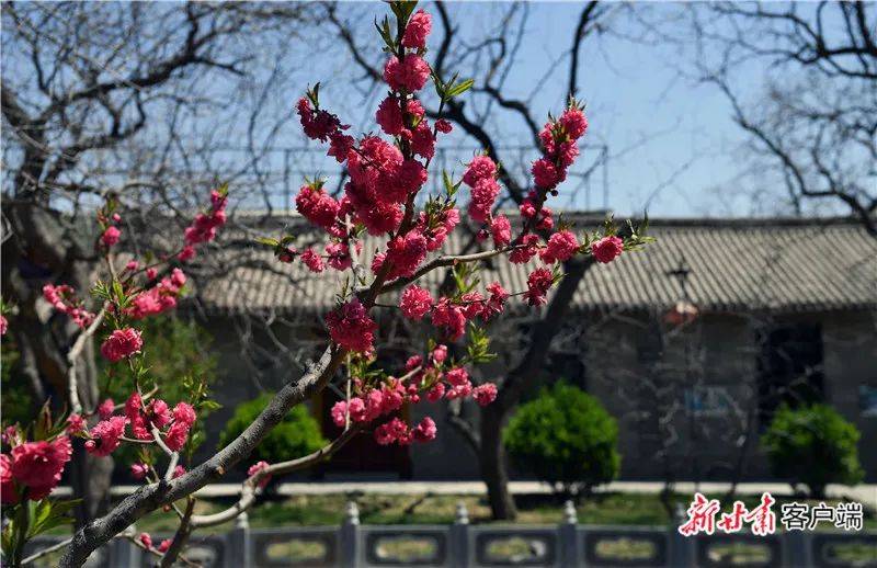 这11条线路请收好,条条都能拍"大片!_兰州