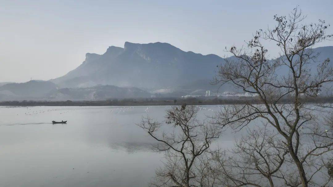 春季踏青,五虎山风景独好!