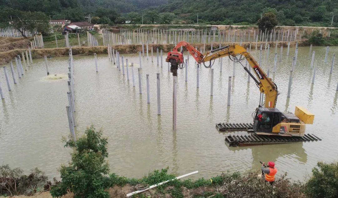 26日10时许,岗美镇埠滘村的鱼塘一片忙碌,水陆两栖打桩机运用"水上漂"