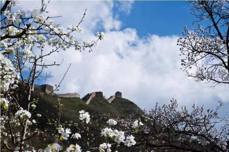北京市文化和旅游局推出26条"缅怀·踏青—漫步北京清明节红色旅游