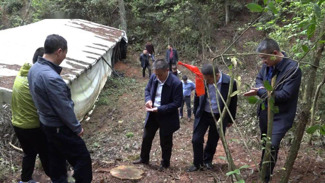 上饶市人大常委会农工委来我市调研林业有害生物防治林长制工作