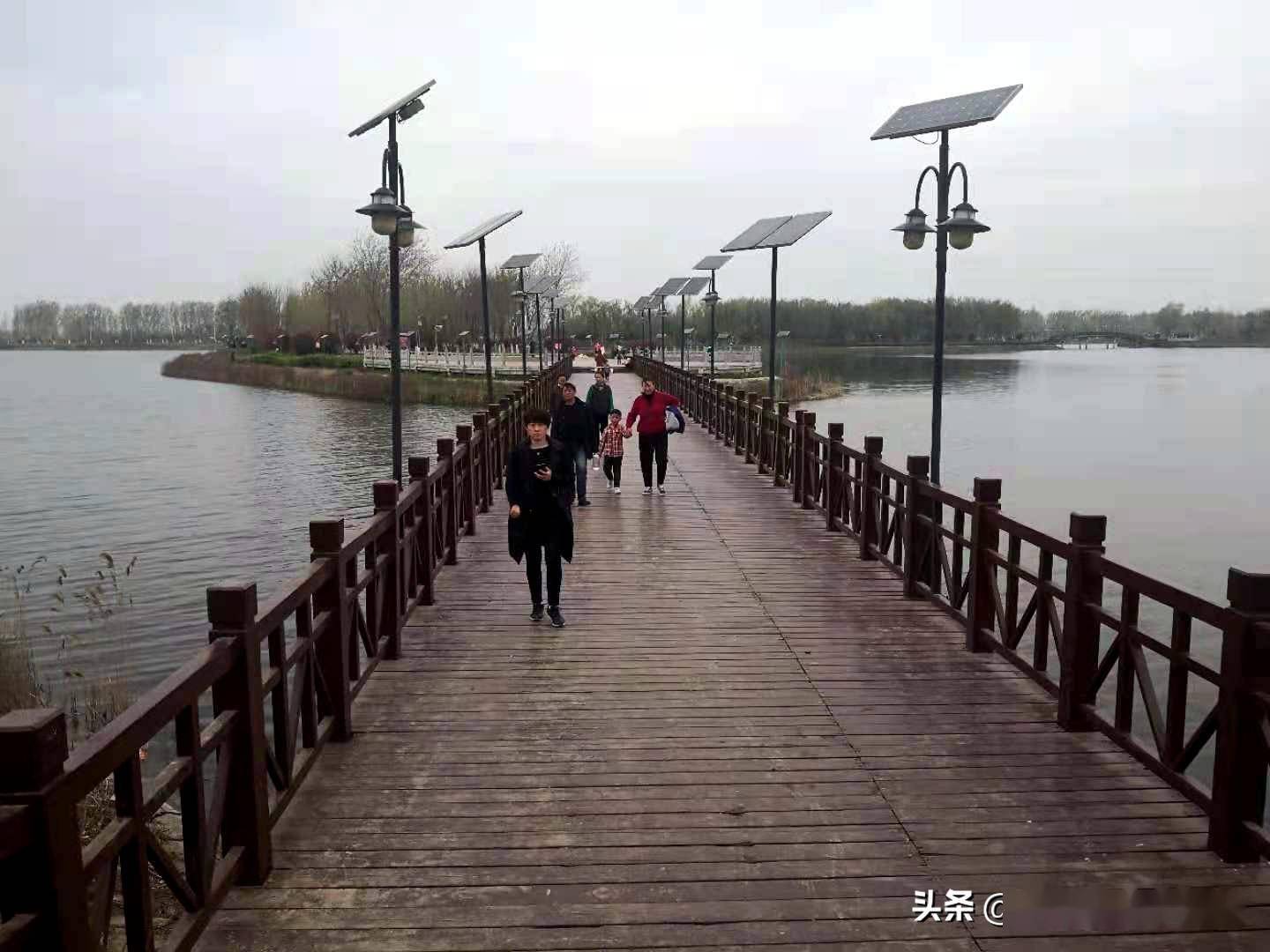 春日西湖别样美,景色秀丽惹人醉_滑县