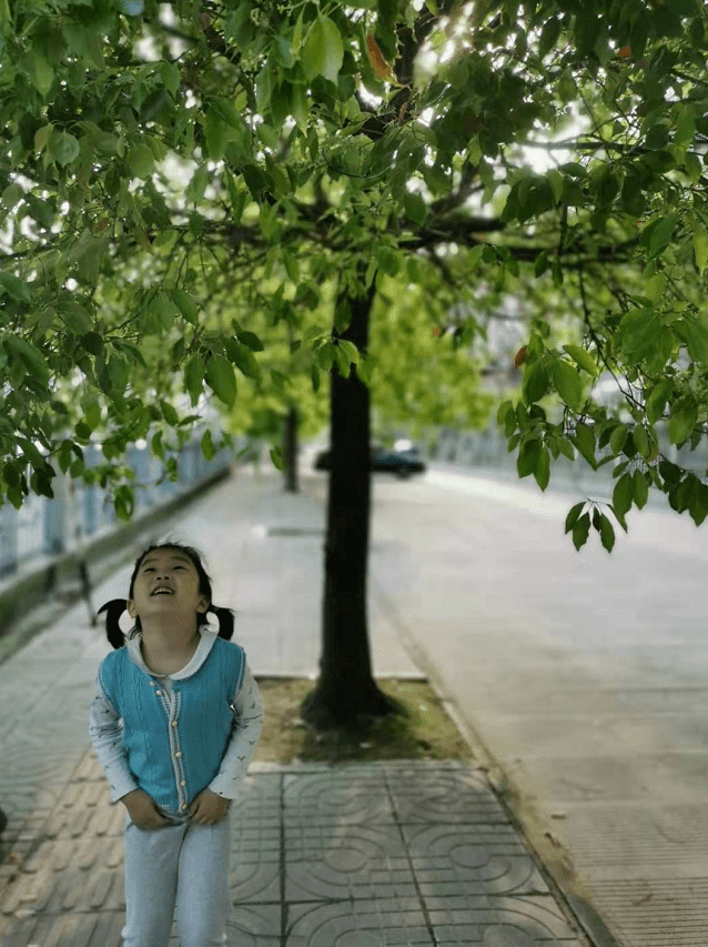 趣寻春天春水碧于天画船听雨眠