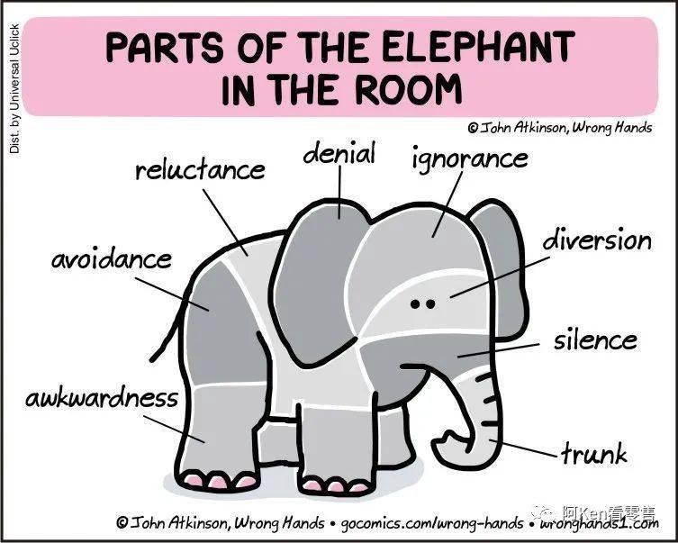 职场英语房间里的大象