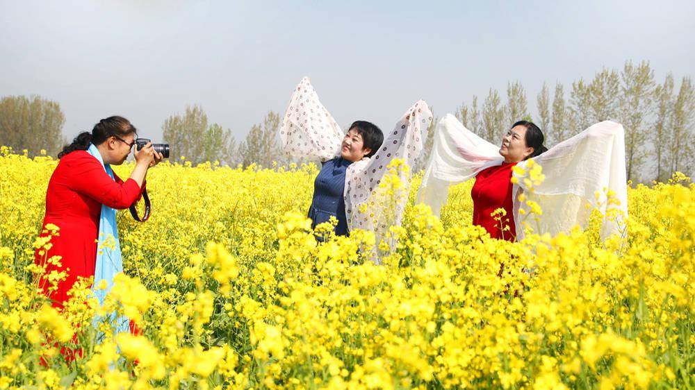 4月7日,游客在河南省开封市尉氏县邢庄乡王响村近千亩油菜花田在踏青