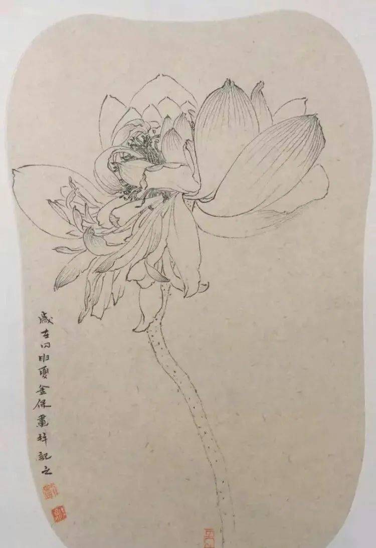 1.荷花写生稿(毛笔).