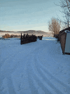 你们家下雪了吗?