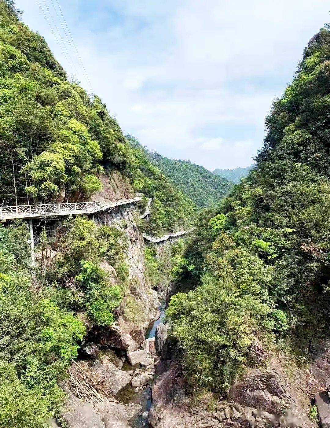 苍南莒溪大峡谷观光栈道春日美照抢鲜看