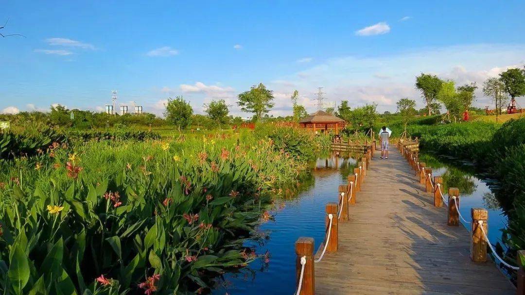 一起去南宁这几个小众景点踏青赏景吧~_公园