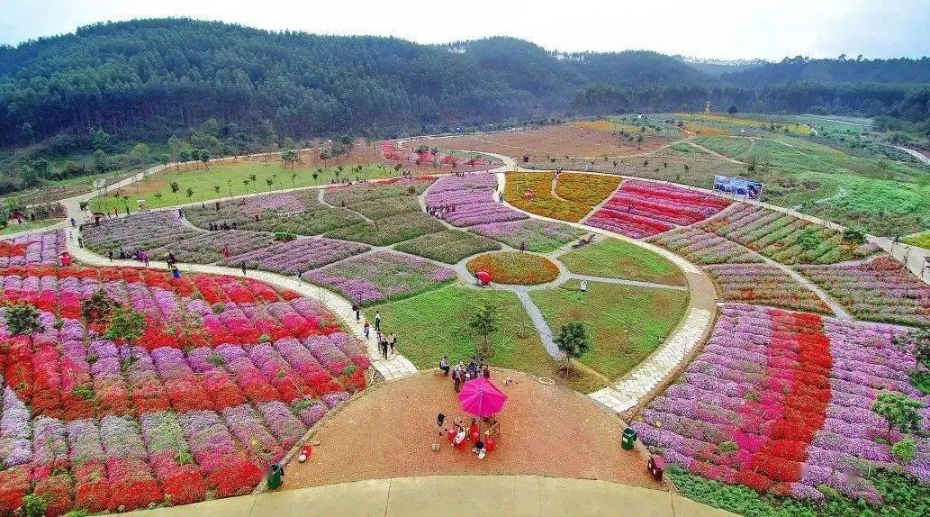 花雨湖玫瑰花园.花雨湖景区供图