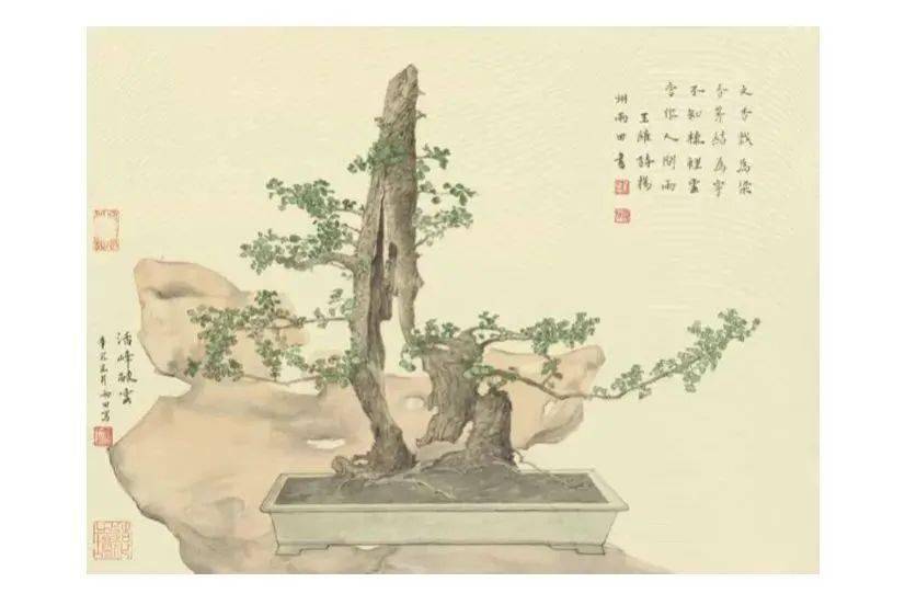 造化之境中国画与扬派盆景艺术融合作品展在扬州世界园艺博览会开幕