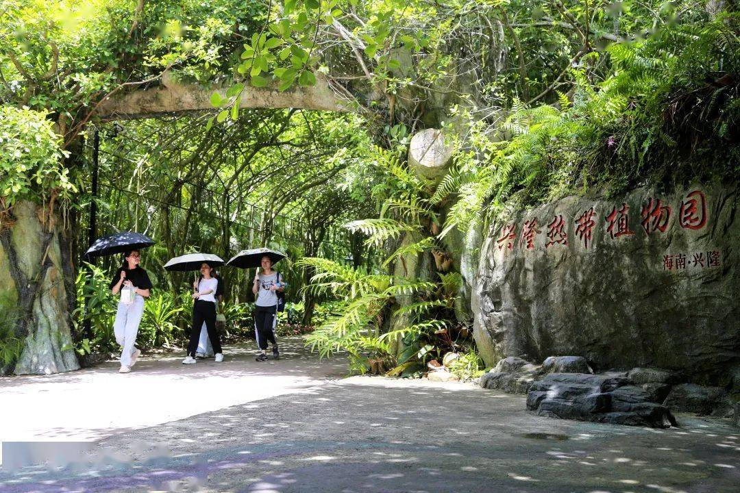 兴隆热带植物园热带要用植物园热带植物园园物植你就感受到春天的