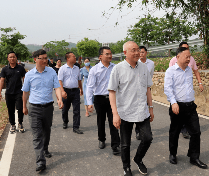 省统计局杨新洪局长到佛山市高明区调研乡村振兴工作和一季度经济形势