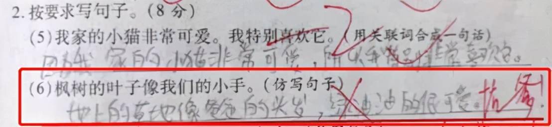 爸妈离婚3次爷爷住院2次我病重15次小学生造句不讲武德