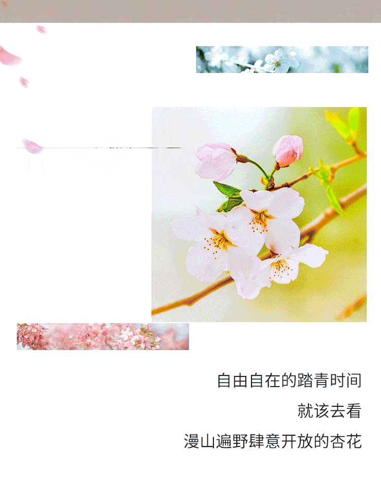 750_958 竖版 竖屏