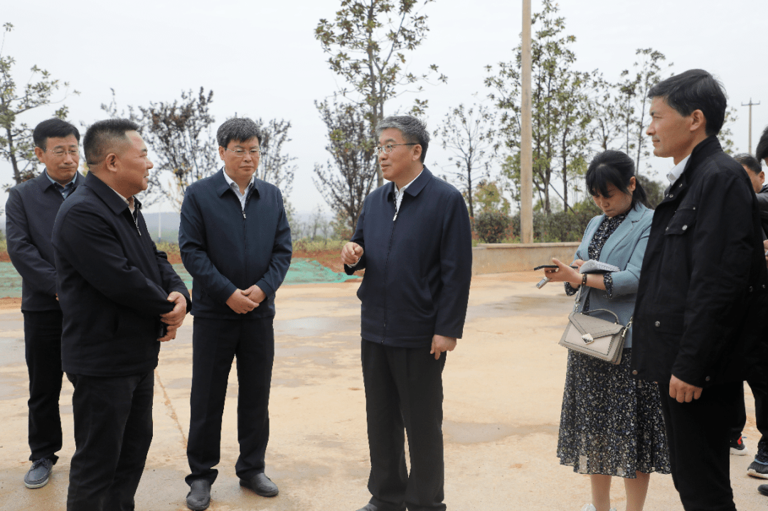 朱浩东赴东至县督导调研防汛和生态环境保护工作