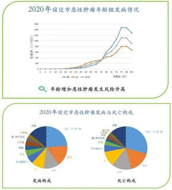 甲状腺癌的发病率 较2019年均有所增加 2020年宿迁市恶性肿瘤发病率 0