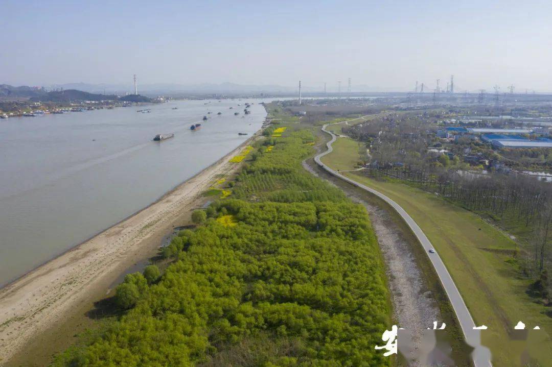 无为大堤,位于长江下游北岸,是国家一级堤防
