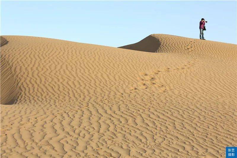 新疆塔里木沙漠:南北贯穿被称为"死亡之海"的塔克拉玛干沙漠