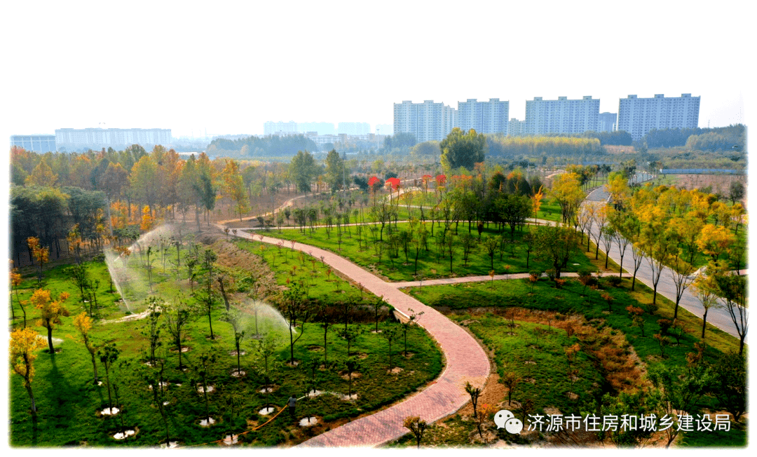 济源又多一个网红打卡地!_植物园