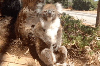 你的聊天内容过于精彩,哈哈哈哈笑死我了,送给你个傻笑的表情吧