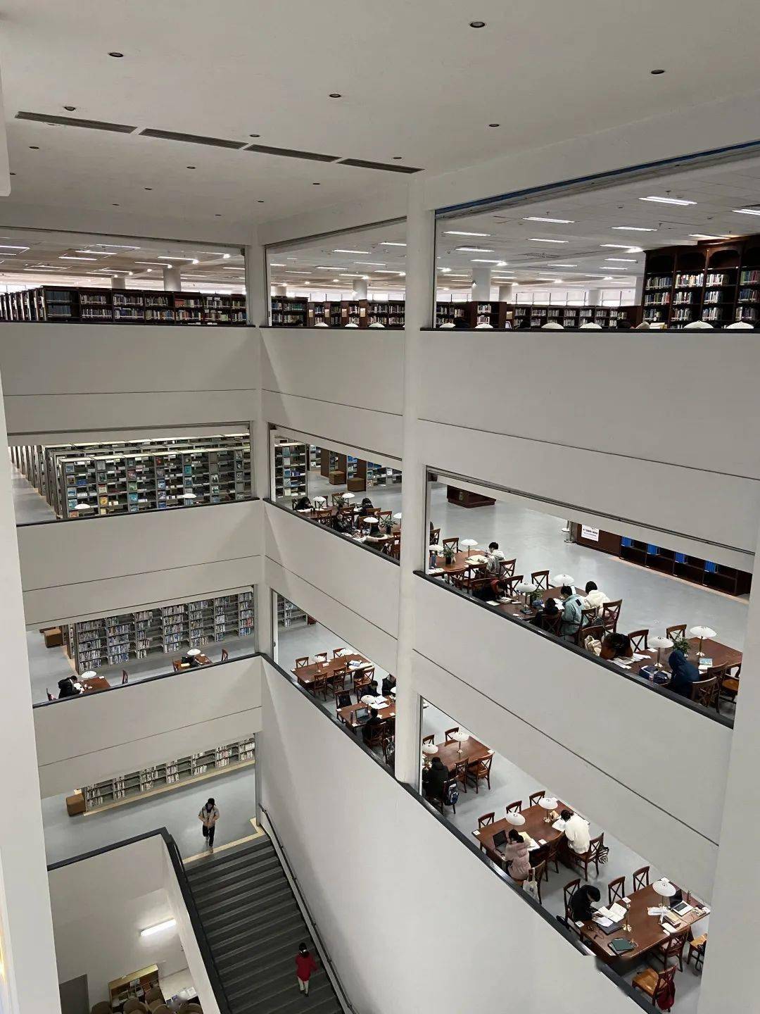 【世界读书日】西南大学图书馆发布借阅大数据