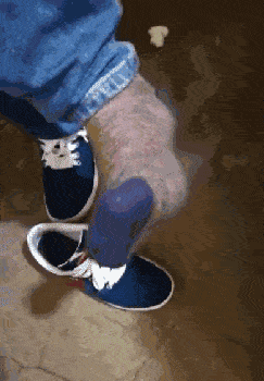 搞笑GIF:这孩子肯定会怀疑人生
