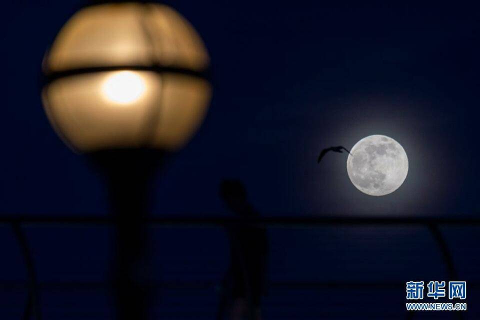 月亮|伦敦：“超级月亮”现身夜空