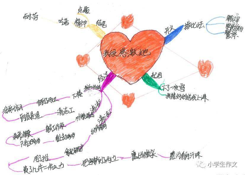 优秀作文:思维导图作文《我很感激她》