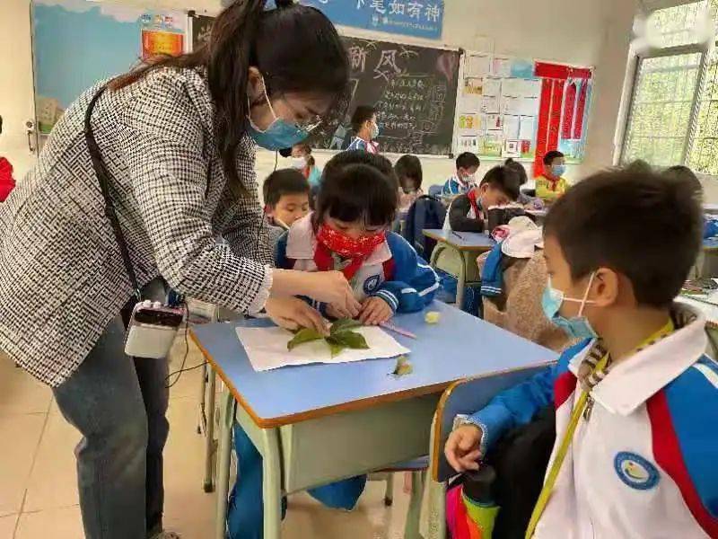 图源:肇庆高新区龙湖小学肇庆高新区龙湖小学开展生态文明专题教育