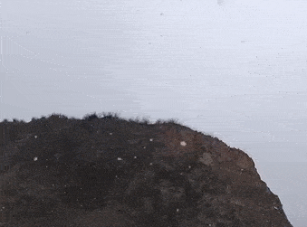 八达岭古长城附近雪花飘落.图/中国天气网王晓